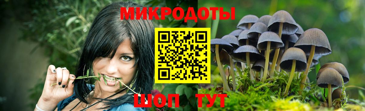 Нововоронеж  Галлюциногенные грибы мицелий  Вход с VPN 